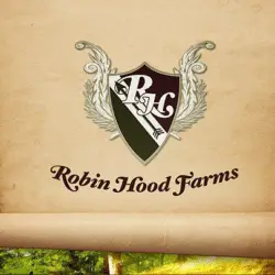 ASO Banner Image_Robin Hood ASO Banner Image_Robin Hood