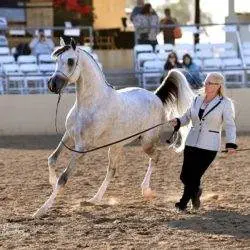 85A0E7D4-A7E5-4F43-A5BF-DCD0EAA908B9 85A0E7D4-A7E5-4F43-A5BF-DCD0EAA908B9