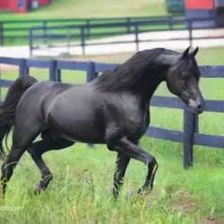 TLLY3281 TLLY3281