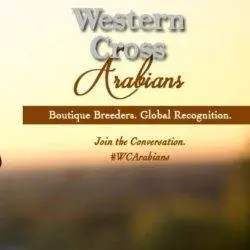 Western-Cross-Ranch-1 Western-Cross-Ranch-1