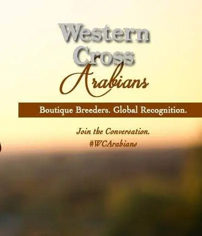Western-Cross-Ranch-1