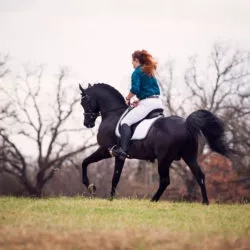 17BFF308-6FEF-457D-A18D-2B20E28D3098