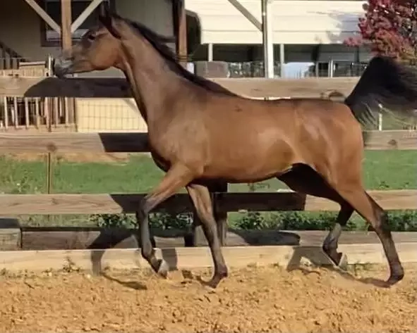 7A28685A-046B-4F5A-BC58-AFD44A289288