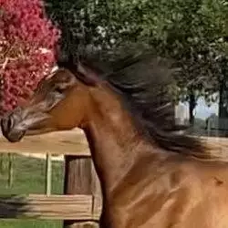 EC93F2DF-2368-4991-B115-BAEFCDA72725