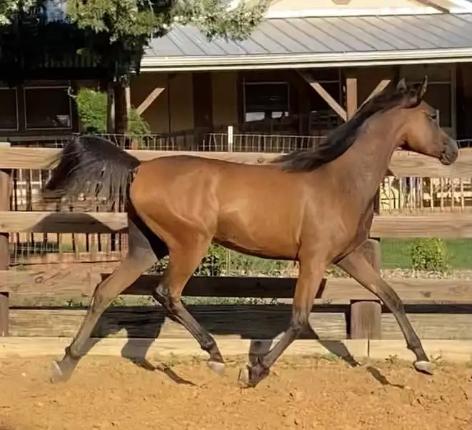 79D6FE37-37B5-4608-A70B-1082B99CE99B