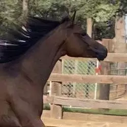 53A7DC08-AF7D-48D3-BEED-C8016ED2AF4E