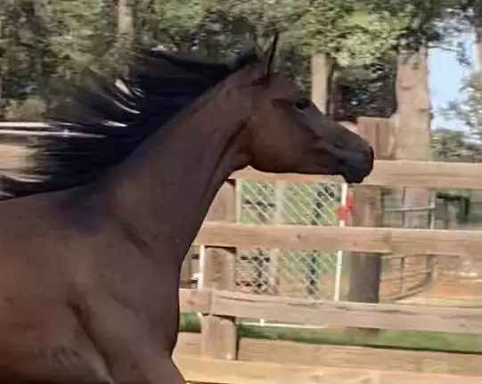 53A7DC08-AF7D-48D3-BEED-C8016ED2AF4E