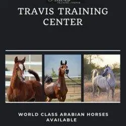 TRAVIS WORLD CLASS AD TRAVIS WORLD CLASS AD