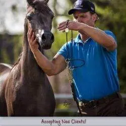 trav end of lead halter ad trav end of lead halter ad