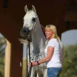 shawn and horse