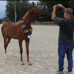 ed09386d-8d70-4e8d-b186-78b8fac7a122