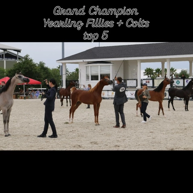 89c85235-2435-4f32-853a-657941a5274d