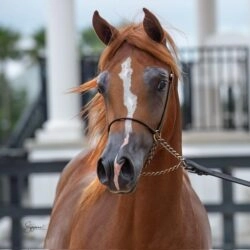 44c2ebda-72e7-4857-b166-0a4cbb280b4c