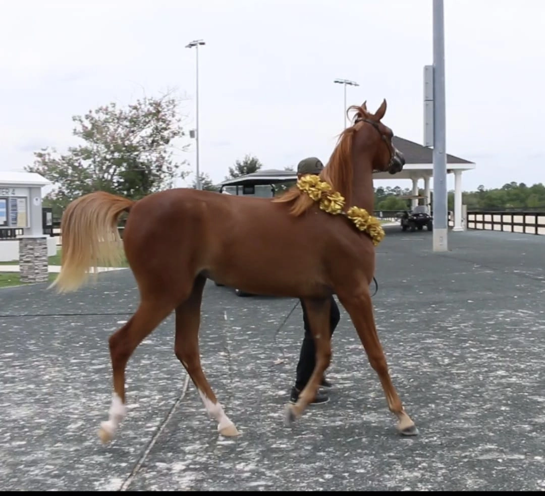 785948ba-4e50-41ad-b739-8bef29c9f967