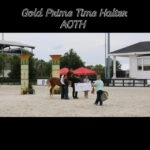 061461cd-fd8c-48af-86c3-92f1c9578739