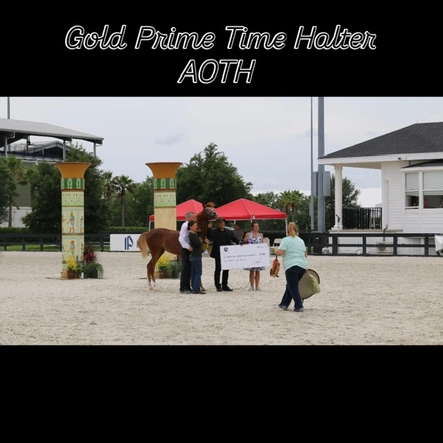 061461cd-fd8c-48af-86c3-92f1c9578739