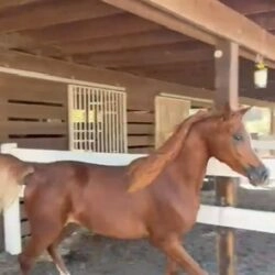 3c87955e-847d-43ac-be44-abe9aeca10ea