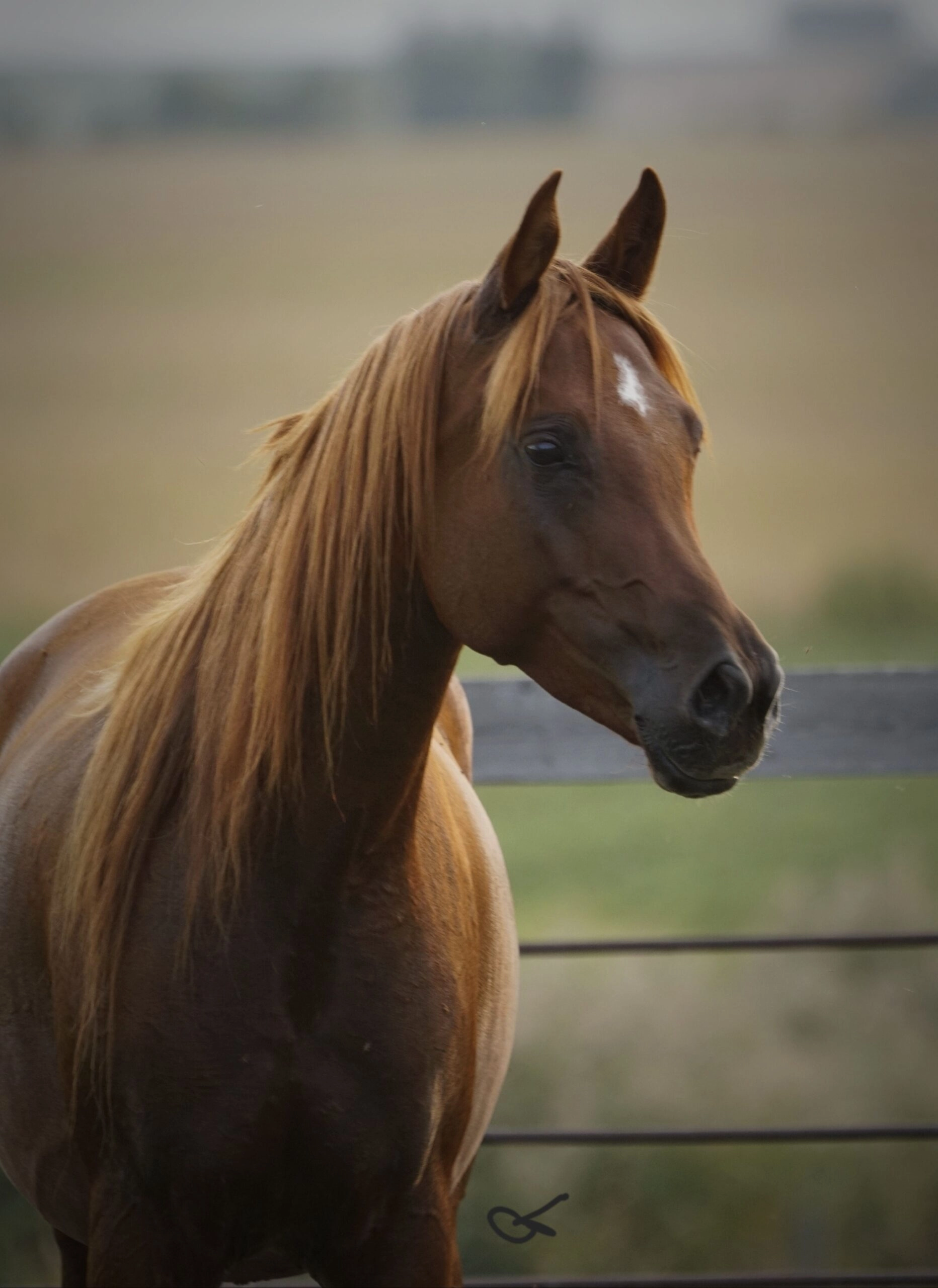 Zahriyyah Fall 2025 Final Resized