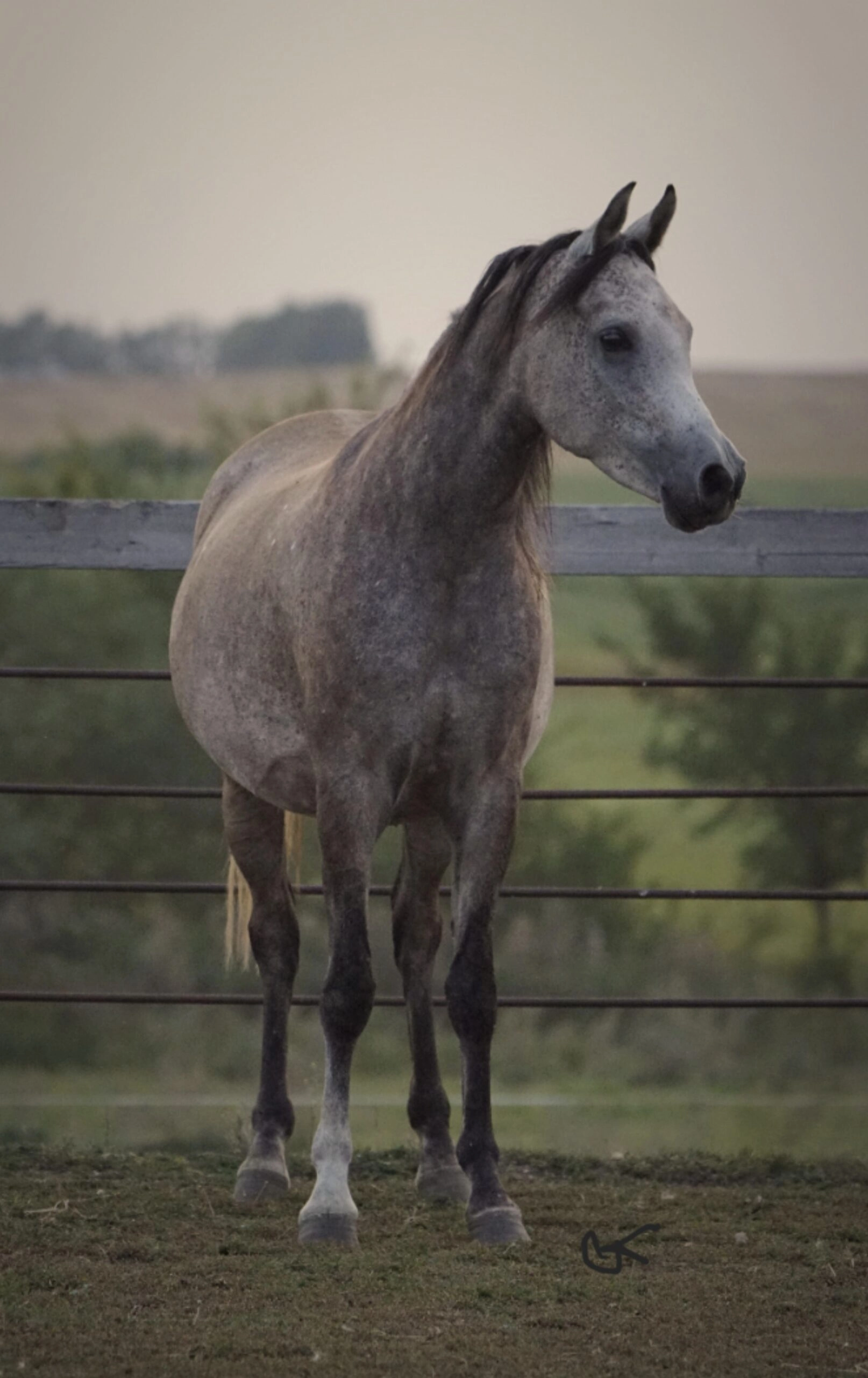 Farzana Fall 2025 Photo 2 Final Resizeds