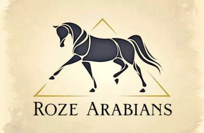 13315761_1564717240495842_3651318108971308614_n