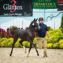 49060588_1971085936525635_822709365029994496_n