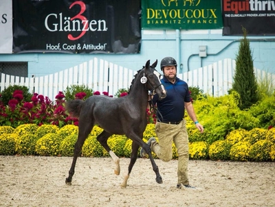 49060588_1971085936525635_822709365029994496_n