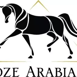 73324269_10221880023892368_2932857150088675328_o