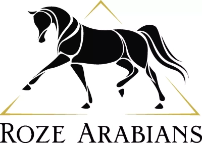 73324269_10221880023892368_2932857150088675328_o