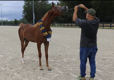 ed09386d-8d70-4e8d-b186-78b8fac7a122