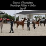 89c85235-2435-4f32-853a-657941a5274d