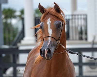 44c2ebda-72e7-4857-b166-0a4cbb280b4c