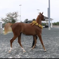 785948ba-4e50-41ad-b739-8bef29c9f967