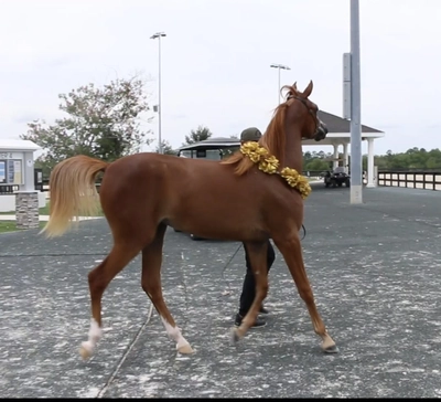 785948ba-4e50-41ad-b739-8bef29c9f967