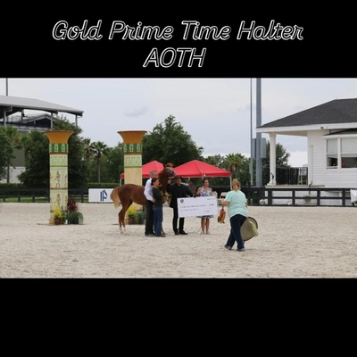 061461cd-fd8c-48af-86c3-92f1c9578739