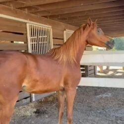 2385cd74-38cd-48fb-adec-dd7c21ba4814