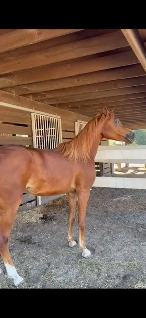 2385cd74-38cd-48fb-adec-dd7c21ba4814