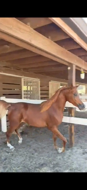 3c87955e-847d-43ac-be44-abe9aeca10ea